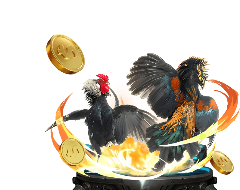 Tổng quan về nền tảng 88nw